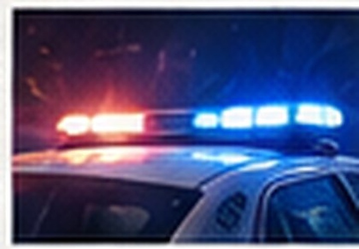 Police vehicle emergency lights at night