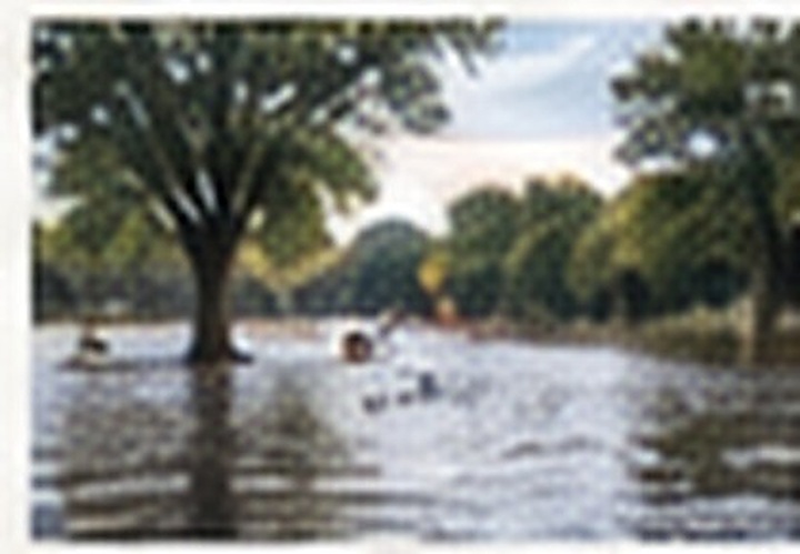 A flooded neighbourhood park after heavy rain